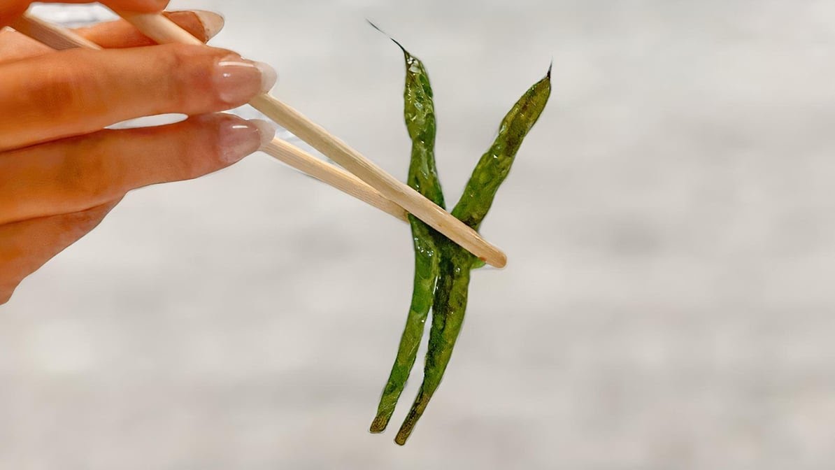 Yunomi Handroll by null