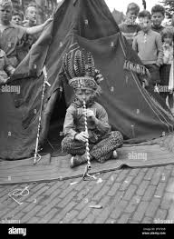 boys indian camp|Indian boy, camp tree house and portrait with friends with teenager group  outdoor. Calm, male teen and face on vacation in woods for summer camping  and relax holiday with young people and