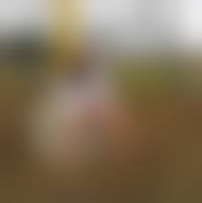  на людях безтрусиков|Фото на улице без трусов princess.onl Fappening Celebrity Photos