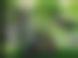 pedomom  Irina and Oleg  10|IDNES Nude - 67 фото