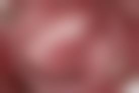 綺麗なピンクオマンコ 拡大 無修正 |PureJapanese Jav Model Hitomi Morimoto 森本ひとみ マンコ図鑑 森本ひとみ Caribbeancompr  030123_001