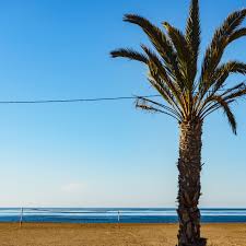 icdn.ru nudist 30|Kimberly Kato - Hot Girls And Naked Babes at HottyStop.com