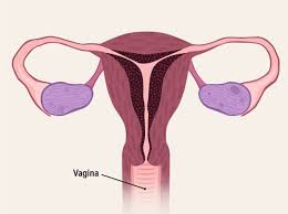 12 teen nude pussy pee|Can You Get Pregnant Without Having Sex?