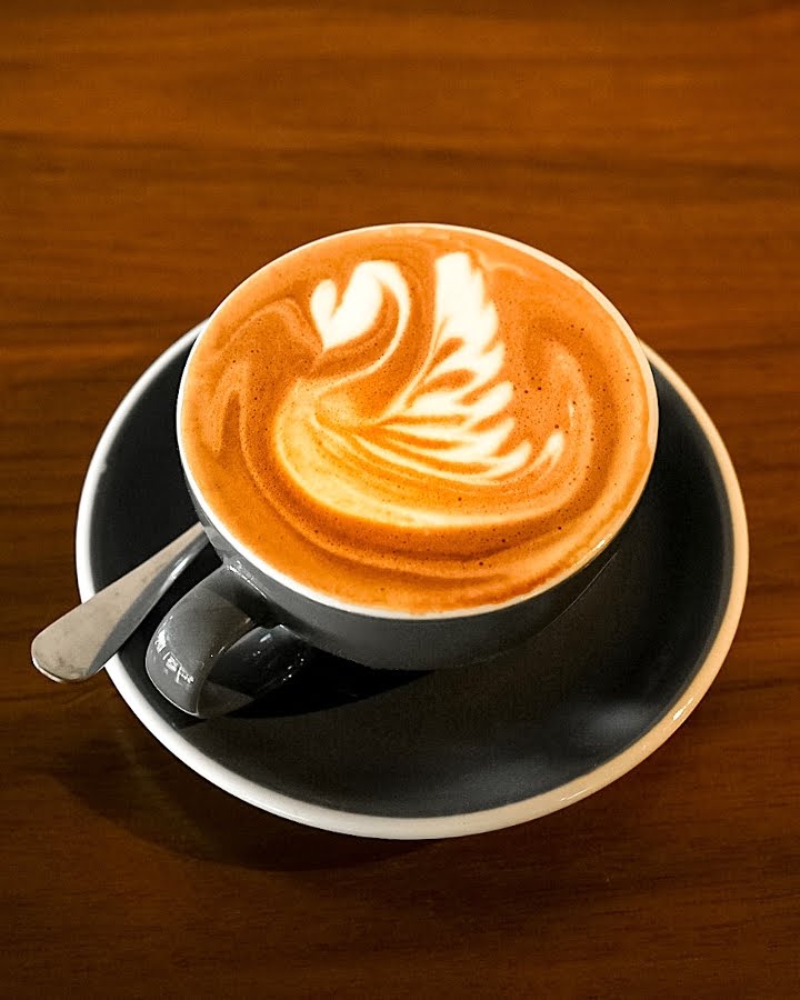 Chocolate Fish Coffee Roasters by null