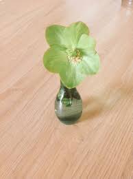 人妻斬り 福沢早織 無修正剃毛|チベットよわー g2CDeINig2eC5oLtgVs コメント履歴 No: 100000