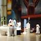 Brisbane Archbishop backs Catholic priest's call to dump Queensland's 'gay ... 