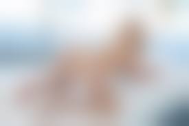 pussy and ass 3000 x 2000|Download photo 3000x2000, ass, hot, nina james, pussy, sexy, spreading ass,  spreading pussy, brunette - ID: 161691