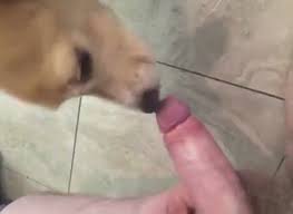 Two babes licking peanut butter off cock redtube jpg x Peanut butter cock