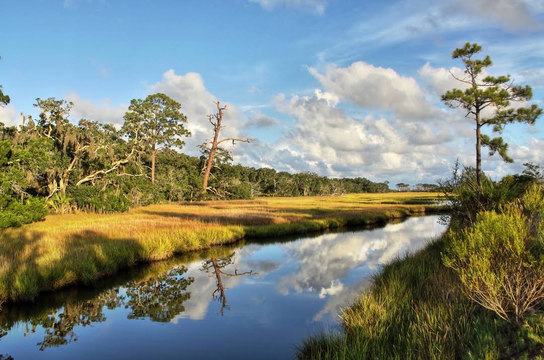 Jekyll Island by null
