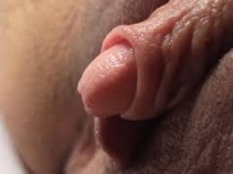 Close up pussy masturbation jpg x Close up pussy masturbation