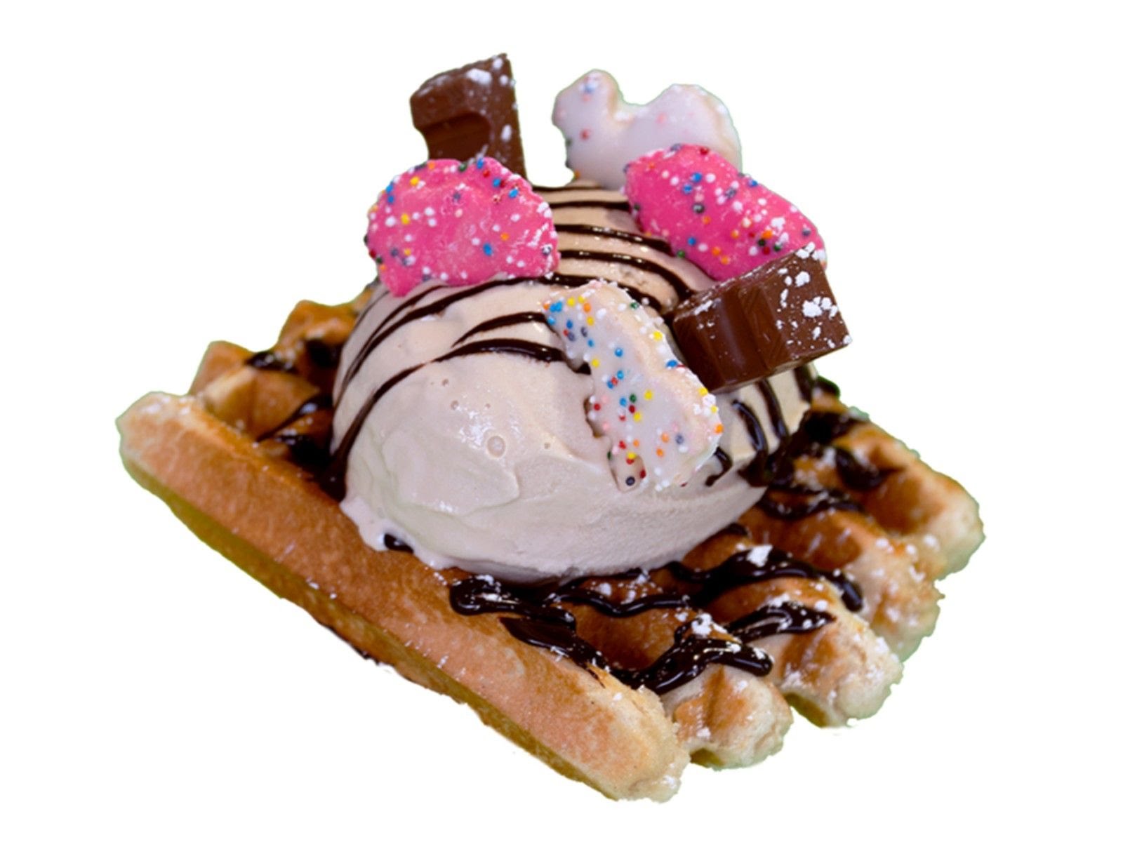 The Dolly Llama by null