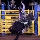 Australia's best professional bull riders make their mark in Darwin 