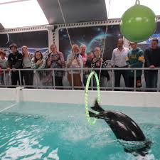 Russian young naturist|Travel news: Clothed troublemakers are banned from nudist beaches in  Germany | CNN