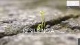 La Importancia de la Resiliencia en el Desarrollo Personal y Profesional ile ilgili video