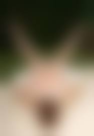 Valory Irene|Valory Irene