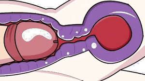 Internal cumshot cam inside vagina jpg x Internal cumshot