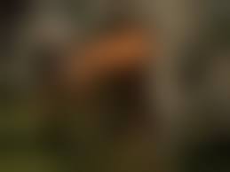 Bad onion hentai 14|