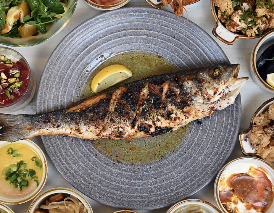 Rana Fifteen by null