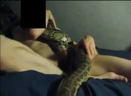 You get fucked and impregnated an eel and snake that you give birth to hentaiandroleplayy jpg x Man fucks snake