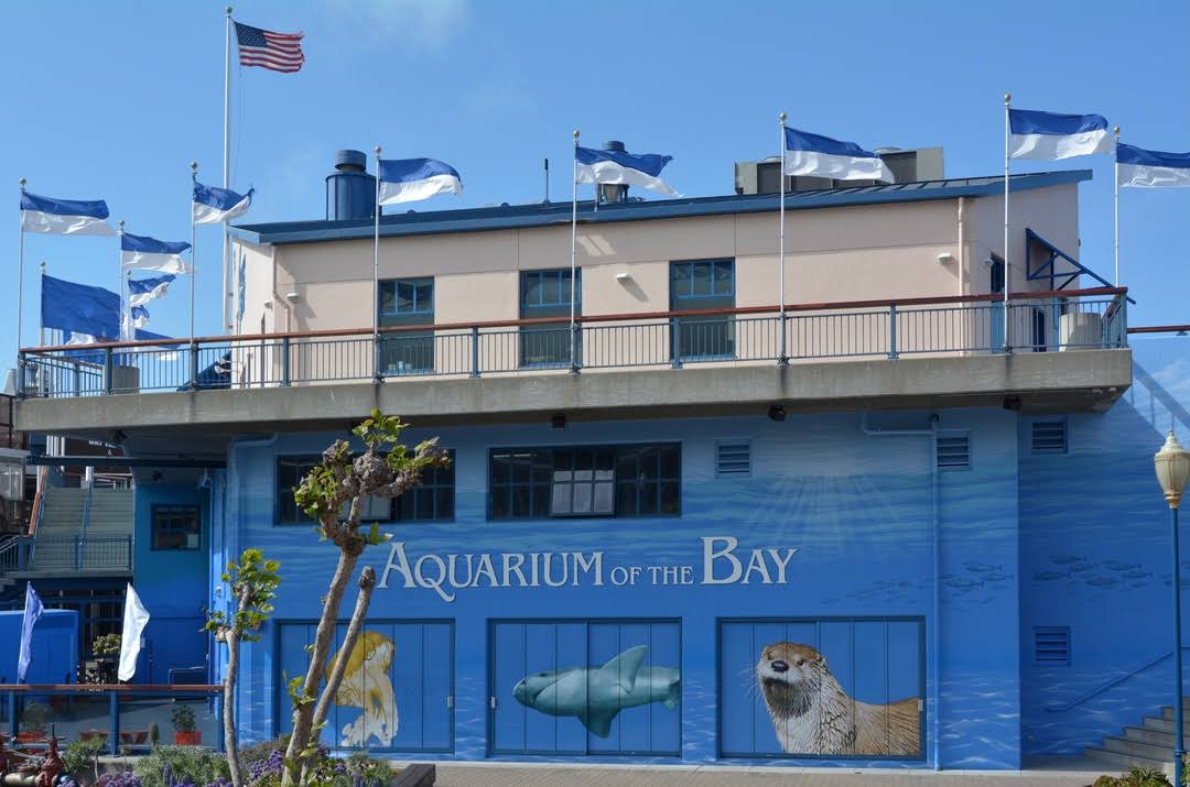 Aquarium of the Bay by Google