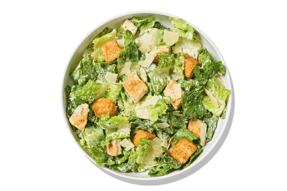 Noodles and Company by null