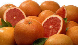 images?q=tbn:ANd9GcRJeZ5yaSH2WSIcZODq_NPwFUbfWiAWzqpEgqozT0RDM4TKIVg0lA