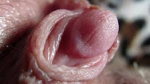 Extreme close jpg x Extreme close up
