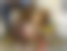 beastiality dog sex teenbeastforum gif|Bestiality Dog Gif