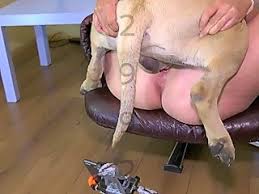 I like to make porn videos fucking dogs jpg x Dog fuck