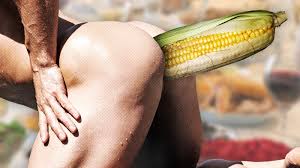 Xxx corn jpg x Xxx corn