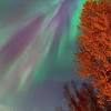 Northern Lights