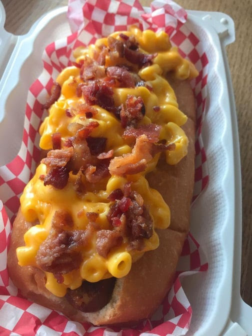 Saucy Dogs by null