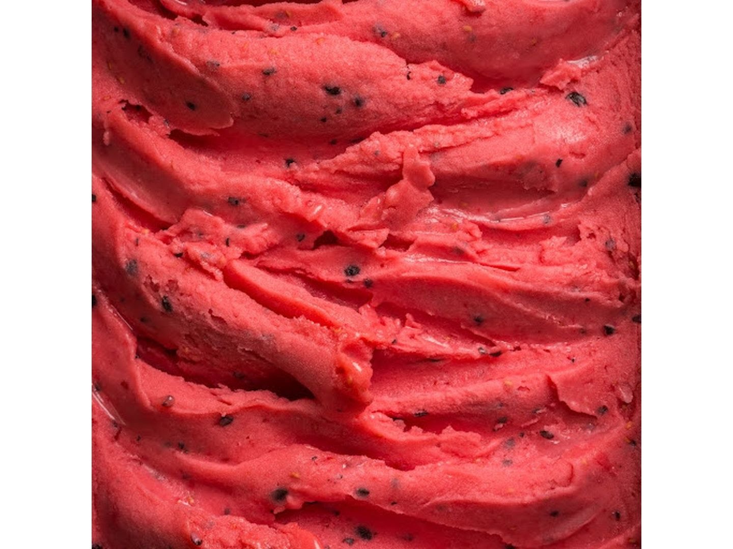 Helados Pudú by null