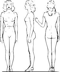 解剖 裸 女|リアルな裸の3D女のベクターイラスト。EPS 8。」のベクター画像素材（ロイヤリティフリー） 683892973 | Shutterstock