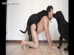 Dog fucks guy against wall gay beast com animal porn tube katitube kinky sex jpg x Guy fucked by dog