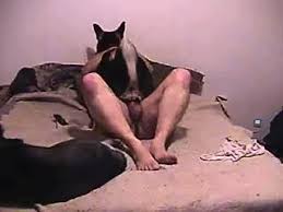 Guy gets fucked dog jpg x Guy gets fucked by dog