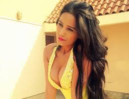 Raj kundra sherlyn chopra poonam pandey anticipatory bail supreme court png x Poonam pandey real