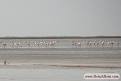 Image result for u202bتالاب گميشانu202c