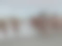 фото маленькие нудистки '|В Новосибирске на нудистский пляж привели маленьких детей | АиФ -  Новосибирск | Дзен