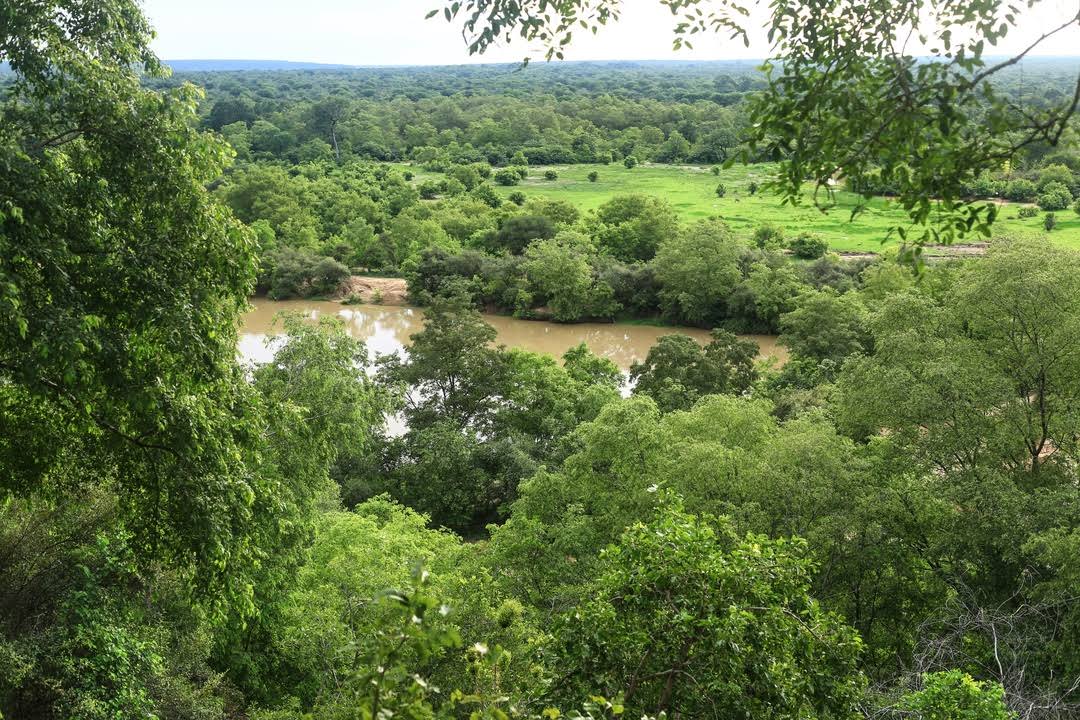 Mole National Park by null