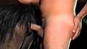 Horniest women sex with horse creampie jpg x Fucked by horse