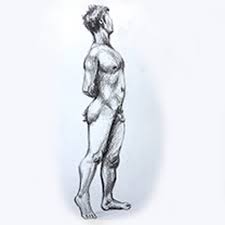 デッサン　ヌード|本日のヌードデッサン﻿ 女性2名 各100分﻿ ﻿ スレンダー・グラマーな女性お二人を描くことで、それぞれの肉体のバランスの描写鍛錬。﻿ ﻿ ﻿ ﻿  ﻿ ﻿ ﻿ ﻿ ﻿ ﻿ ﻿ #dessin #drawing #study #lifedrawing #humanfigure #nude  #nudedrawing #nudeart﻿