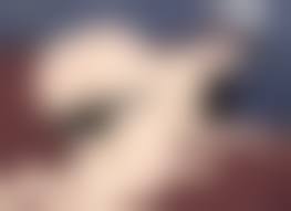 epidems.net 3d hentai 1|Blacklist | PDF