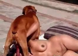 Ced bigcock boy fucks small dog indoor gaybeast com siterip jpg x Guy fucks animal