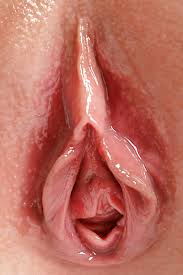 Beautiful pussy close jpg x Beautiful pussy close up