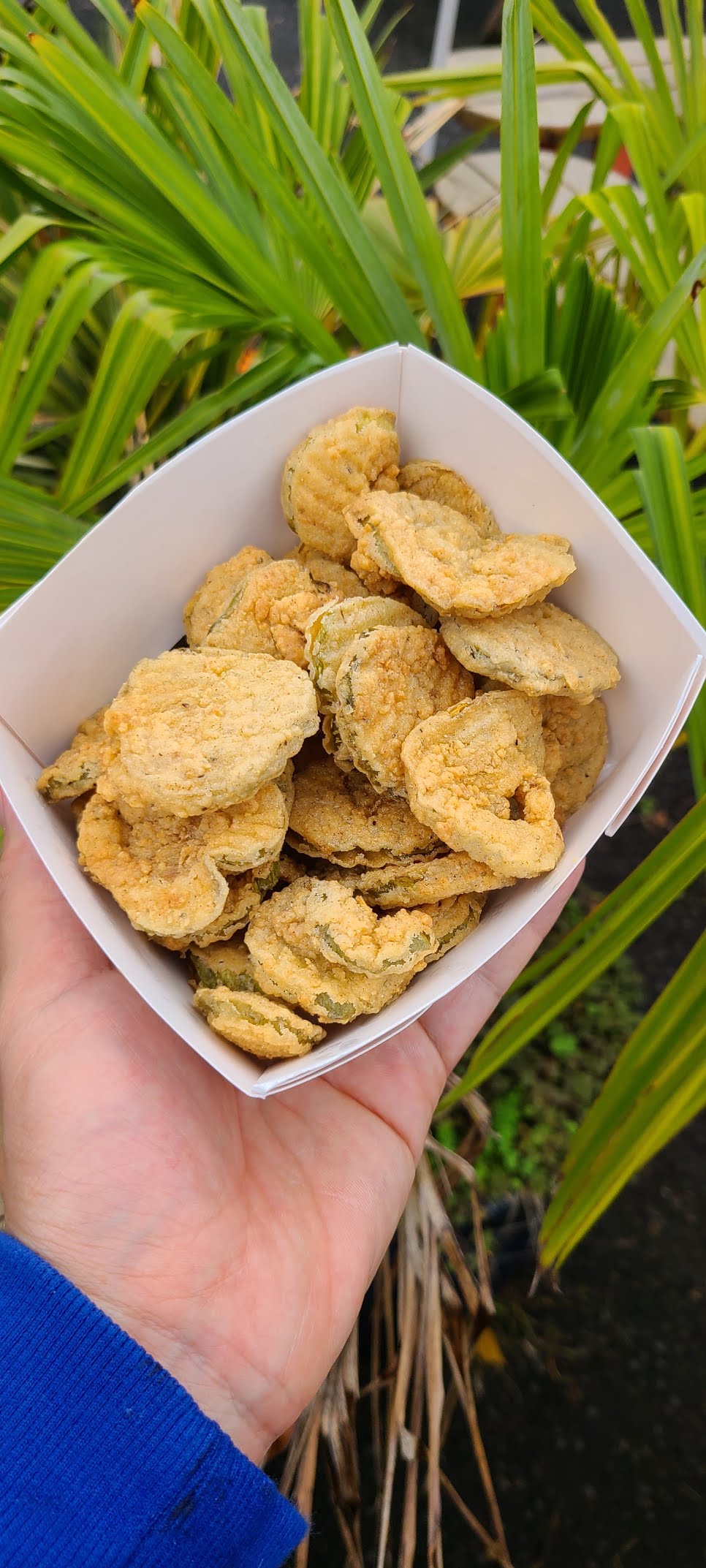 FOMO Chicken by null