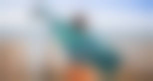 naturismetv French topless family|Naturist pool France - Swimming pool for naturist families