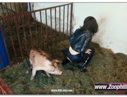 New porn site farm pigs porn corporation new porn sites showcased daily jpg x Pig fuck girl