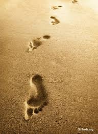 ����� �������. ������ �������� ����� ������ ������ ������� ������ ���