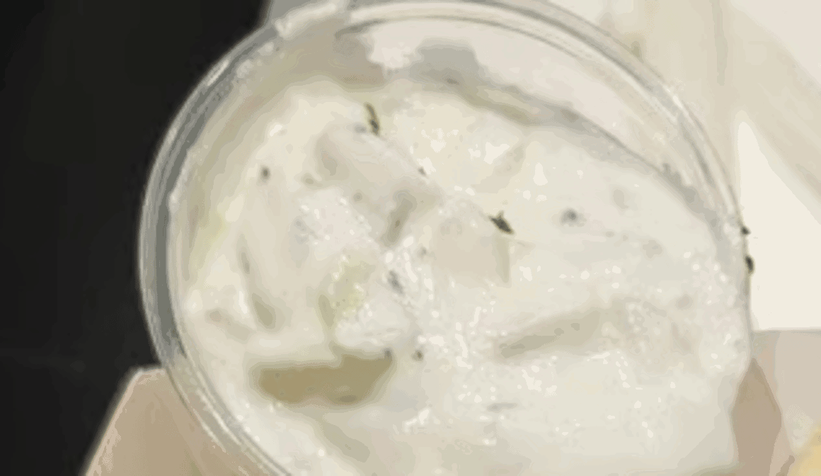 The Little Greek by Christakis by null